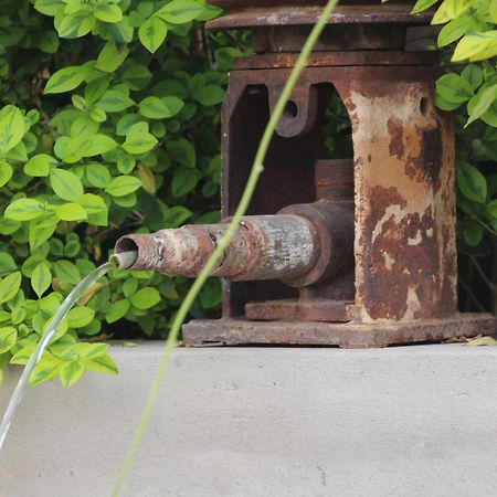 Olive Tree B&B Upington Bagian luar foto